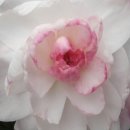 월광농원 이미지