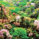 금산화원