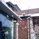 승현이네 이미지