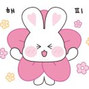 마인드휘트니스 이미지