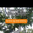 영우농장3 이미지