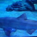 어깨동무태권도 이미지