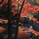 청송 버스정류장 이미지