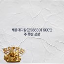 (주)세종메디칼 이미지