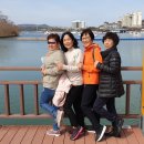 일성보문콘도미니엄 이미지