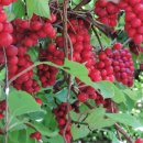 소야농장 이미지