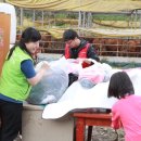 (주)조이테크 중부매일