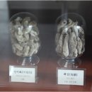 성은한의원 이미지