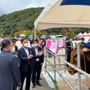 소통한우축산 이미지