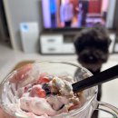 성강목장 이미지