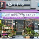 테라리움숲 | 위례 꽃집 원데이클래스 공방 마녀의숲 테라리움 만들기 체험 후기
