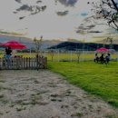 워킹애니멀스쿨 이미지