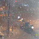 모텔피그 이미지