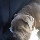 어서타개 이미지