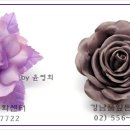 윤영희헤어아트 Daum카페