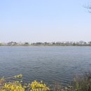 @ 은빛물결을 출렁이는 도심 속의 아름다운 호수, 수원 서호 ~~~ (서호공원, 항미정) 이미지