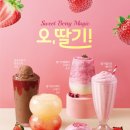카페게이트 목동5단지점