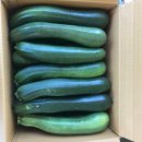 푸른상사 이미지