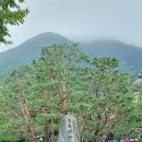 용문산그린펜션