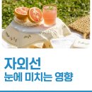안경진정성 강릉중앙로점 네이버블로그