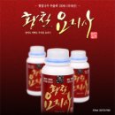 (주)황칠