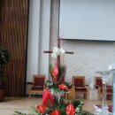 꽃꽂이(주간) 이미지