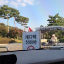 아일랜드컨트리클럽 | 솔모로 Solmoro CC 컨트리클럽 여주 라운딩후기 체리 퍼시몬 메이플 파인 코스 조가네짬뽕