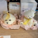 한톨상점 이미지