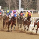 경마장가는길 이미지