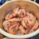 명도그 오토캠핑장 이미지