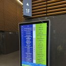 기타등등 | 라섹수술 5일차 : 보호렌즈 제거하기 (통증, 시력회복, 병원 방문 기타 등등 후기)