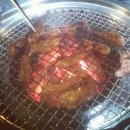 서울갈매기 Daum카페