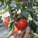 내려놓기펜션 이미지