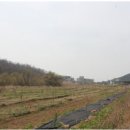 베데스다농장 이미지