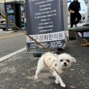 청구경희한의원 | 청구경희한의원 건대점 내돈내산 후기 - 교통사고 후 치료 추천 병원(feat.입원후기, 위치, 내부사진)