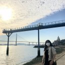 막창도둑전남 이미지