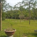 한국폴리텍 VI 대학 구미캠퍼스 | [2025전문대 학과별 등록금] 한국폴리텍 VI 대학 구미캠퍼스