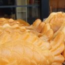 붕어의 신 이미지