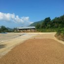 별다섯농장 이미지