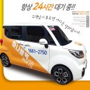 벌레박사 페스트119 | 개미와의 전쟁에서 이기는 법! 확실한 개미 퇴치법 총정리