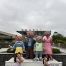 경주바니베어박물관 | [경주] 바니베어뮤지엄 다녀온 솔직 후기 🐻✨