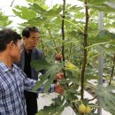 월야농장 이미지