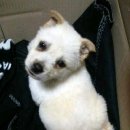 자유로동물병원
