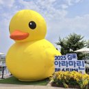 마린 이미지