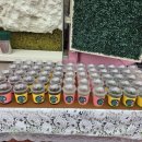 한일여자중학교 이미지