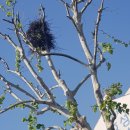 도곡5리 이미지