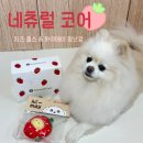 네츄럴코어, 신상 장난감 하이메이 치즈춥스 콤보 토이 후기