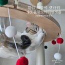 캣 | 갸또블랑코 아이언 캣폴 튼튼한 고양이 캣타워 내돈내산 후기