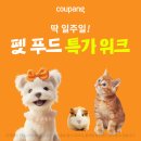 펫인푸드 이미지