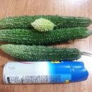 여주-0406 이미지